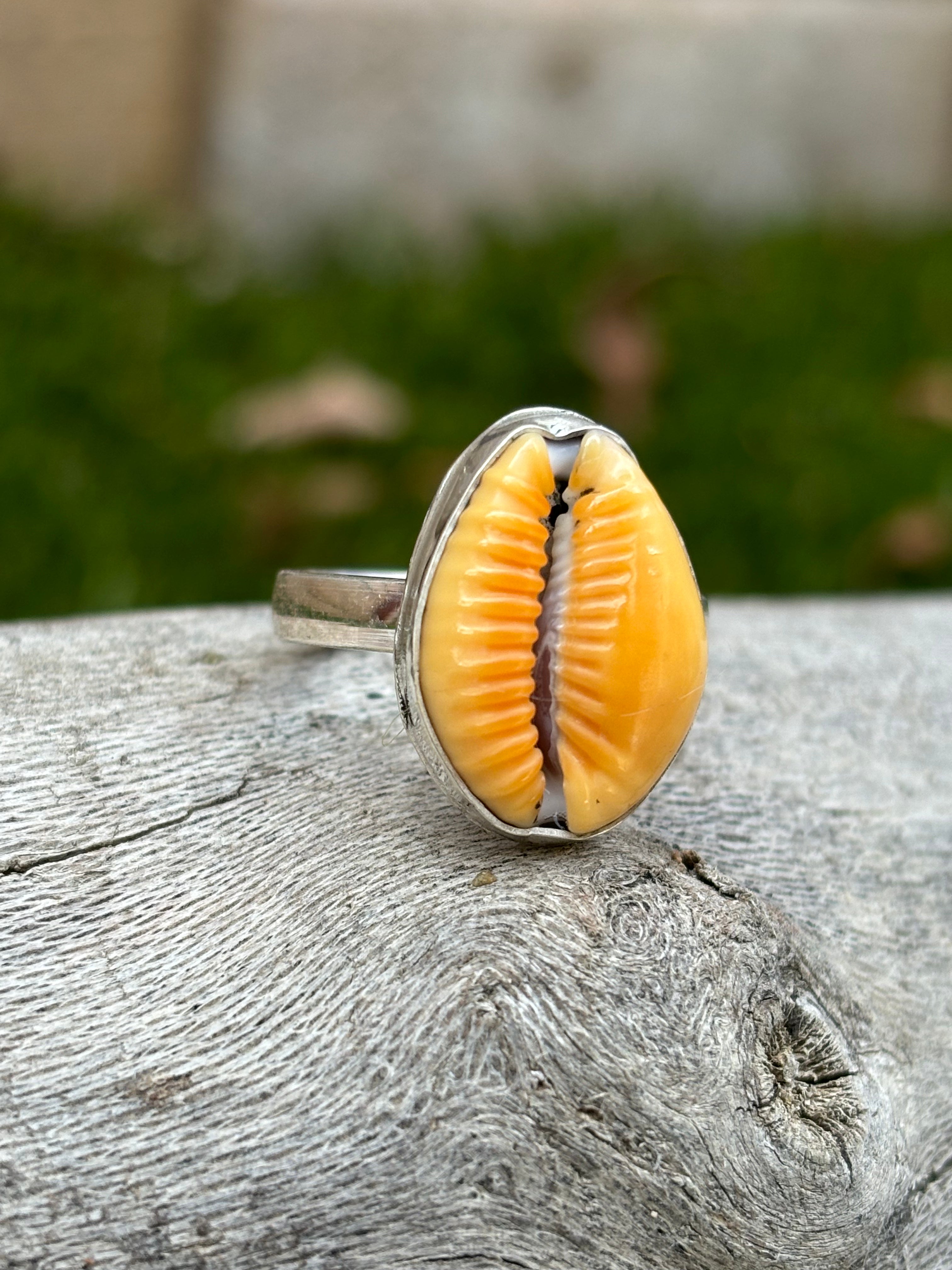 sea shell ring
